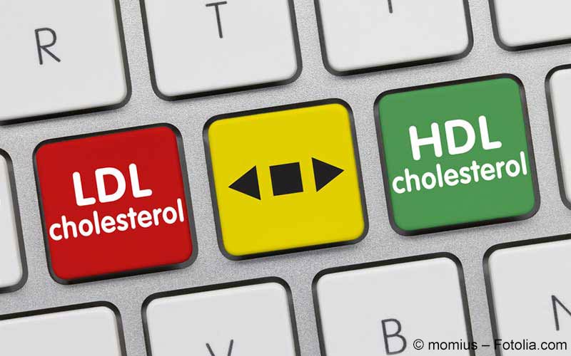 Cholesterin Cholesterin
