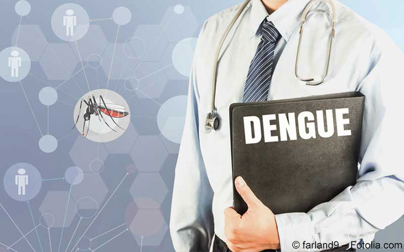Dengue Dengue