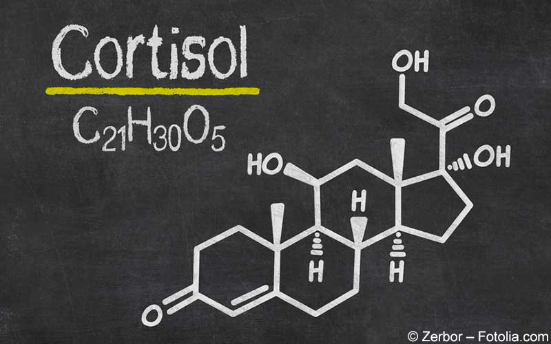 Cortisol Strukturformel Cortisol Strukturformel